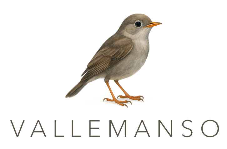 Vallemanso